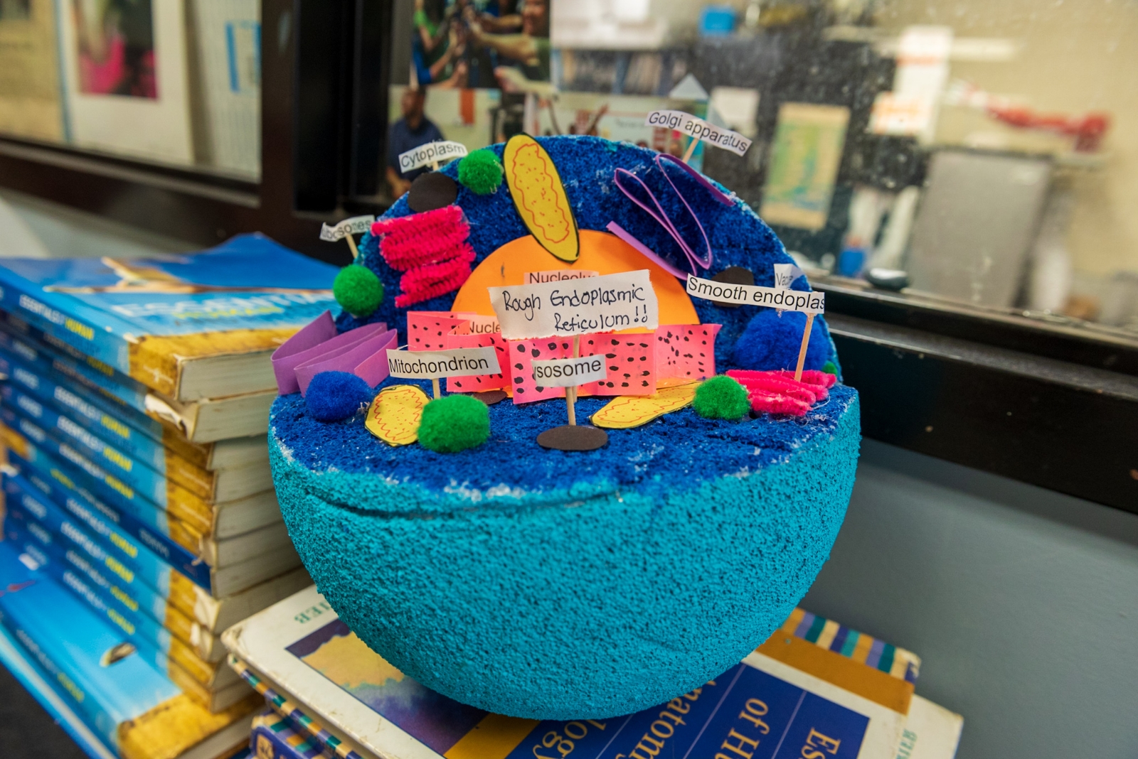 A student made diorama of a molecule made of craft foam and assorted decorations.