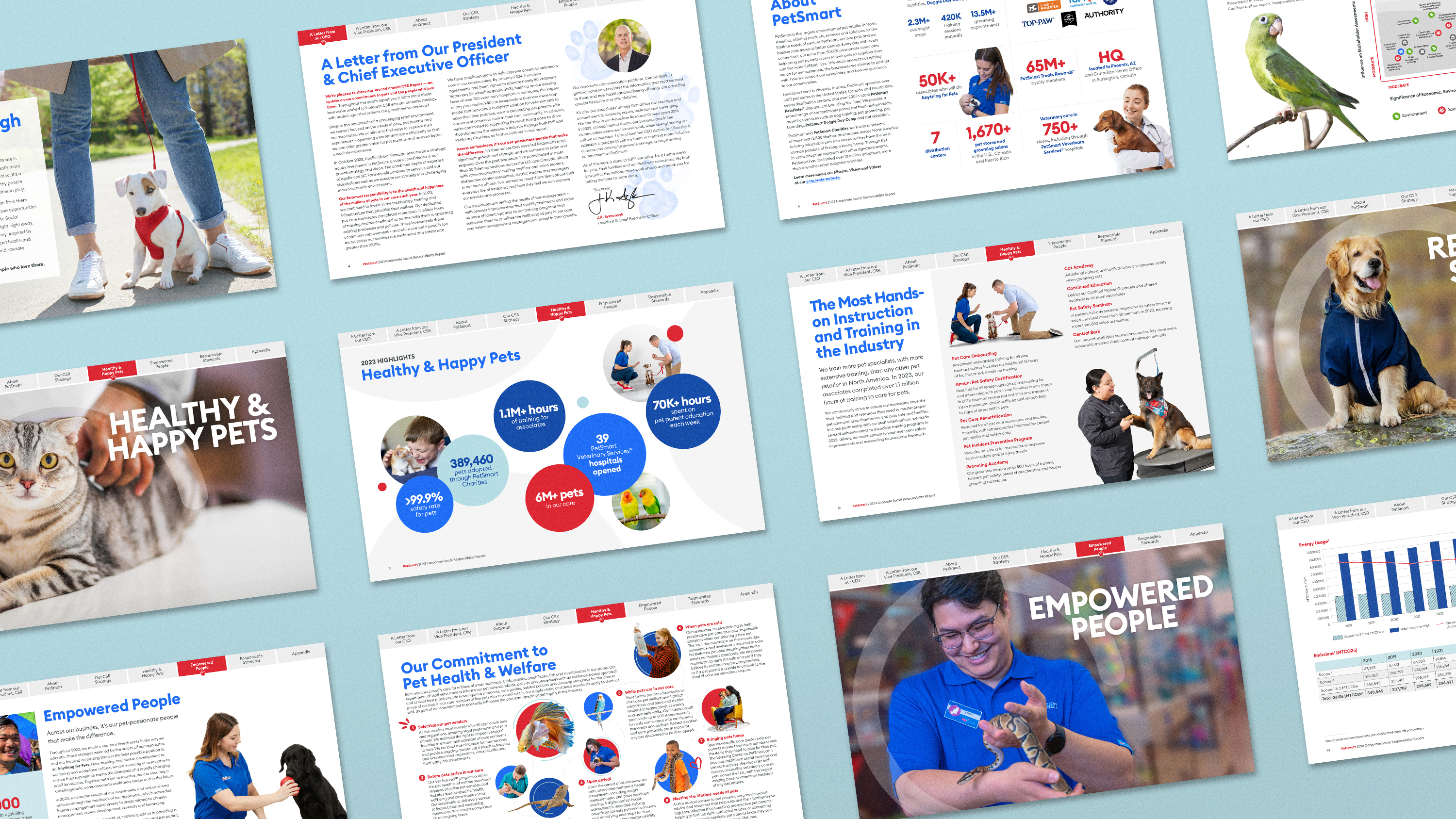 Multiple PetSmart CSR report pages with images and data highlights on a light blue background